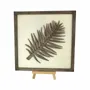 Paintings - Wooden Leaf Wall Art 3 - WOODILLUSION