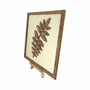 Paintings - Wooden Leaf Wall Art 4 - WOODILLUSION