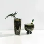 Decorative objects - Wavy Lips Vase / Champagne Bucket - NATURE'S LEGACY