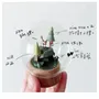 Objets design - Micro Animal Scenes | Fox and Rose - PAPIR LAB LTD.