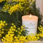 Candles - CANDLE - LA MAUSSANAISE - L'ANTIDOTE