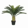 Floral decoration - Artificial cycas, 24 fronds, black plastic pot - LIGNE DÉCO