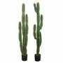 Floral decoration - Artificial cactus, black plastic pot - 2 models - LIGNE DÉCO