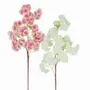 Floral decoration - Artificial cherry blossom stem – 80 flowers – White and pink - LIGNE DÉCO
