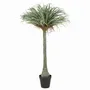 Floral decoration - Artificial yucca, real touch, black plastic pot - LIGNE DÉCO