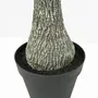Floral decoration - Artificial yucca, real touch, black plastic pot - LIGNE DÉCO