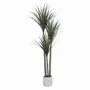 Floral decoration - Artificial dracaena, 3 heads, white plastic pot - LIGNE DÉCO