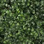 Floral decoration - Artificial Boxwood Plant Wall - LIGNE DÉCO