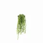 Floral decoration - Artificial Trailing Foliage in Pot - LIGNE DÉCO