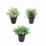 Floral decoration - Assorted Artificial Potted Foliage - LIGNE DÉCO