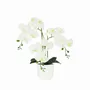 Floral decoration - “Real Touch” Orchid in White Pot - LIGNE DÉCO