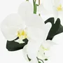 Floral decoration - “Real Touch” Orchid in White Pot - LIGNE DÉCO