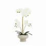 Floral decoration - “Real Touch” Orchid in Ceramic Pot - LIGNE DÉCO