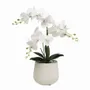 Floral decoration - Artificial Orchid in White Pot - LIGNE DÉCO