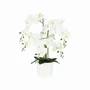 Floral decoration - “Real Touch” Orchid in White Pot - LIGNE DÉCO