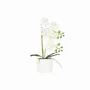 Floral decoration - “Real Touch” Orchid in White Pot - LIGNE DÉCO