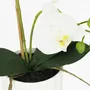 Floral decoration - “Real Touch” Orchid in White Pot - LIGNE DÉCO