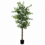 Floral decoration - Artificial ficus, black pot - LIGNE DÉCO