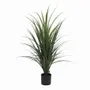 Décorations florales - Yucca artificiel en pot noir - LIGNE DÉCO