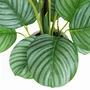 Floral decoration - “Real Touch” Artificial Calathea - LIGNE DÉCO