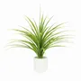 Floral decoration - Artificial Dracaena in White Pot - LIGNE DÉCO