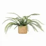Floral decoration - Artificial Fern in Cane-Effect Cement Pot - LIGNE DÉCO