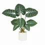 Floral decoration - Artificial Taro Plant in White Pot - LIGNE DÉCO