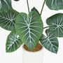 Floral decoration - Artificial Taro Plant in White Pot - LIGNE DÉCO