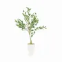 Floral decoration - Artificial ficus, matte white ceramic pot - LIGNE DÉCO