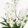 Floral decoration - Artificial cymbidium, 30 flowers, 60 leaves, white pot - LIGNE DÉCO
