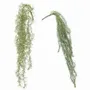 Floral decoration - Artificial bleached foliage trail – 2 assorted models - LIGNE DÉCO