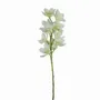Floral decoration - Artificial orchid stem – 10 flowers – Cream - LIGNE DÉCO