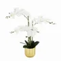 Floral decoration - Artificial orchid, 5 branches, gold plastic pot - LIGNE DÉCO