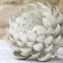 Unique pieces - Glazed stoneware artichoke - CLEMENTINE AGUETTANT