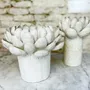 Unique pieces - Glazed stoneware artichoke - CLEMENTINE AGUETTANT