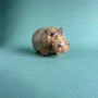 Decorative objects - Ornament Hippopotamus/Rhinoceros - カシワクラフト