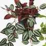 Floral decoration - Assorted artificial Trailing Foliage in Pot - LIGNE DÉCO