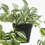 Floral decoration - Assorted artificial Trailing Foliage in Pot - LIGNE DÉCO