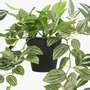 Floral decoration - Assorted artificial Trailing Foliage in Pot - LIGNE DÉCO
