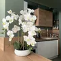Floral decoration - “Real Touch” Orchid in Ceramic Bowl - LIGNE DÉCO