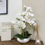 Floral decoration - “Real Touch” Orchid in Ceramic Bowl - LIGNE DÉCO
