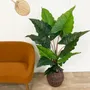 Décorations florales - Alocasia artificielle “toucher naturel” - LIGNE DÉCO