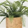 Décorations florales - Fougère artificielle en pot ciment cannage - LIGNE DÉCO