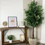 Floral decoration - Artificial ficus, black plastic pot - LIGNE DÉCO