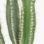 Décorations florales - Cactus artificiel en pot plastique noir - 2 modèles - LIGNE DÉCO