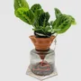 Vases - Nomad clay pot L - design - 3D self-irrigating - COMMON PLACE YOUR URBAN JUNGLE
