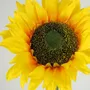 Décorations florales - Tige artificielle de tournesol – Jaune - LIGNE DÉCO