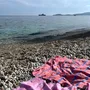 Spas - Hamam towels - beach towels - OTTOMANIA