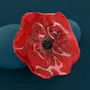 Jewelry - Pretty poppy brooch, silver and red - TARATATA BIJOUX
