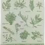 Torchons - Torchon jacquard Herbes de provence Vert 50 x 70 - MAISON VIVARAISE - SDE VIVARAISE WINKLER